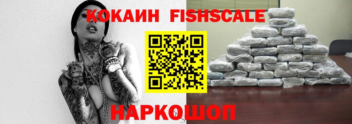 КОКАИН Эквадор  Ноябрьск  КОКАИН  Кокаин Fish Scale 