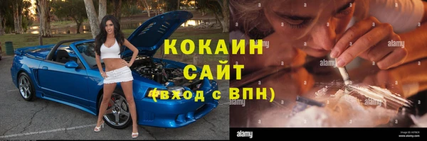 шишки Домодедово