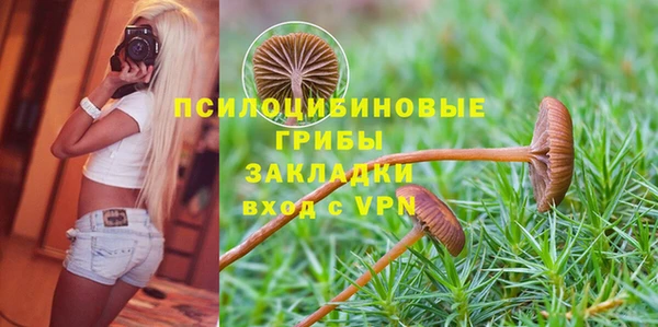 гидропоника Медвежьегорск
