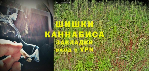 ешки Медногорск