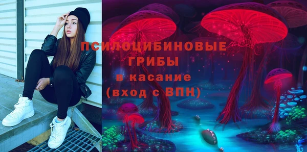 ешки Медногорск
