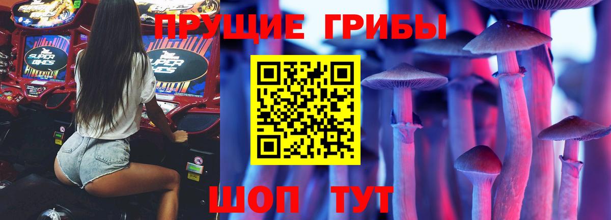 Псилоцибиновые грибы Magic Shrooms  Вход с VPN  хочу   Ноябрьск 